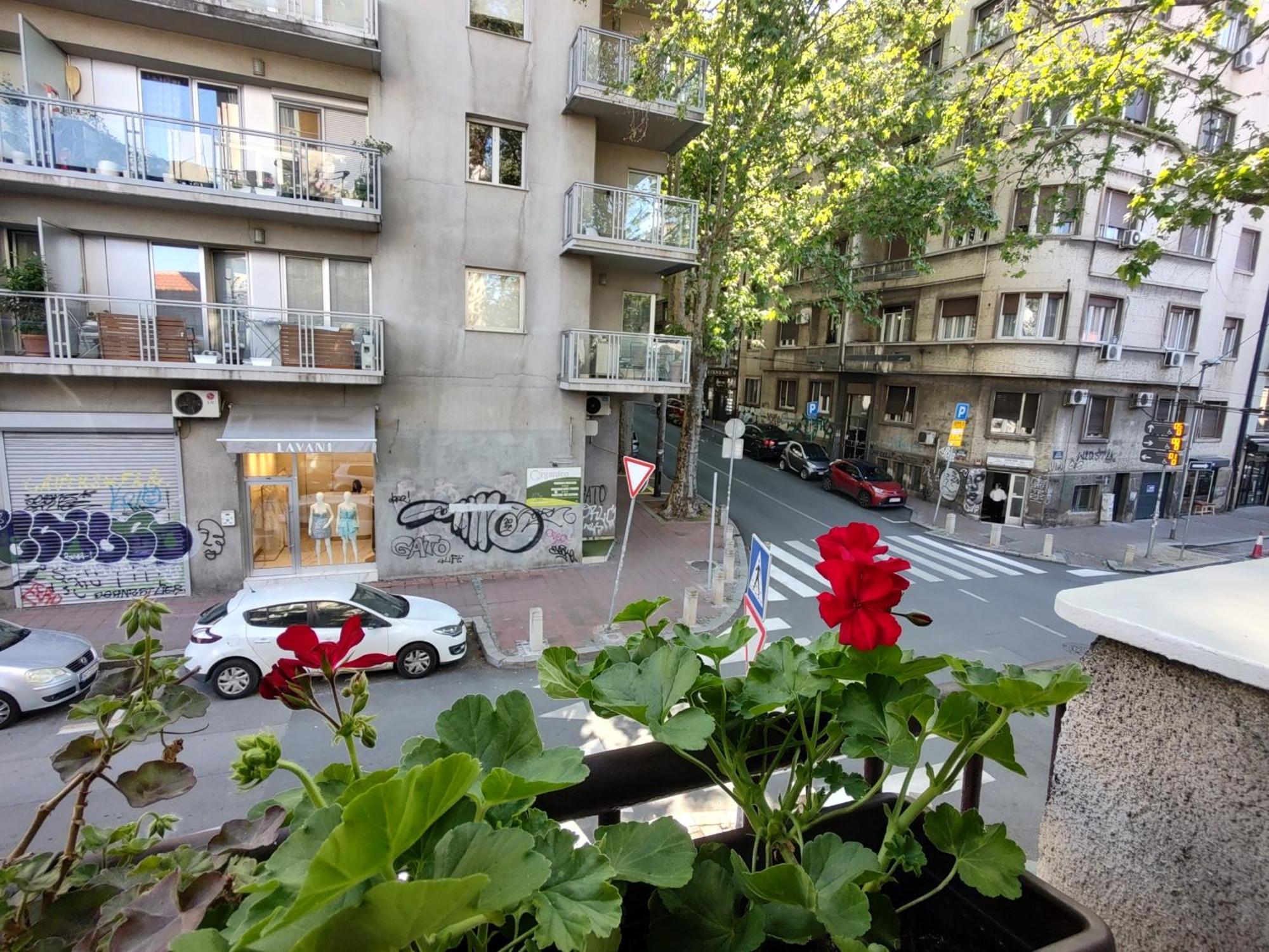 Bgholik Studio Apartment Belgrado Exterior foto